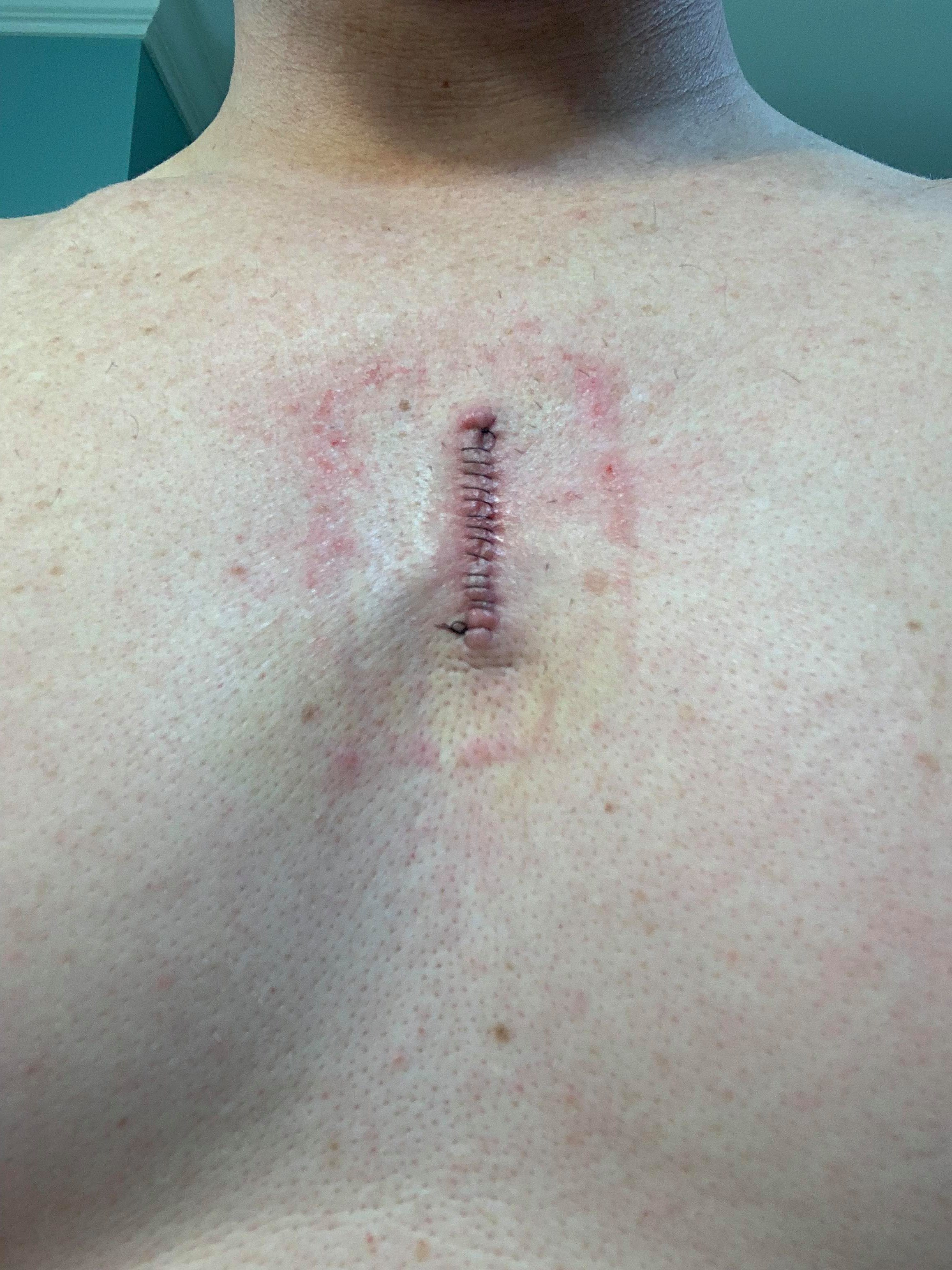 52043108_485509128520176_7986489749881749504_n