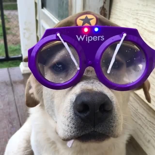 Wet, But Not Too Wet&nbsp;Wednesday