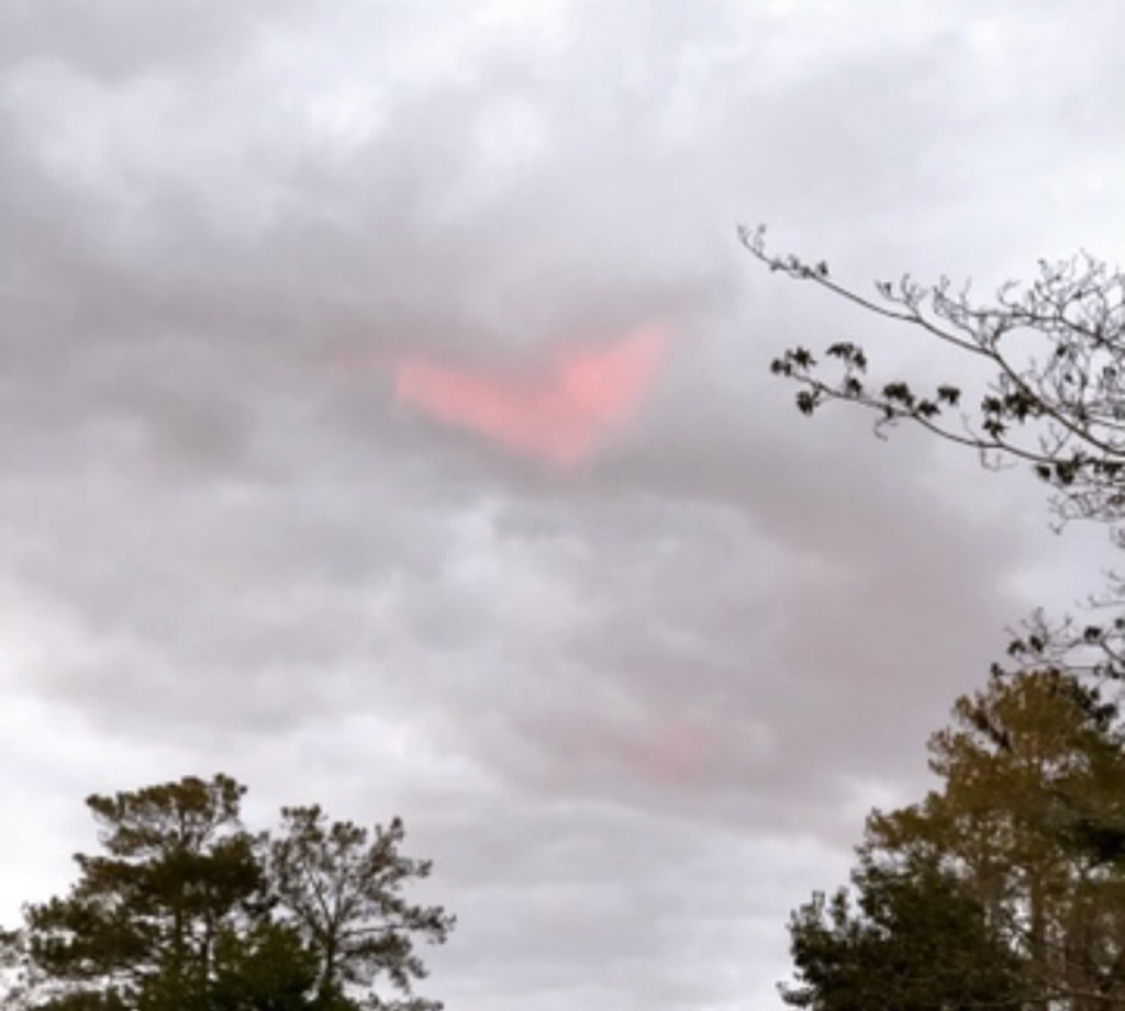 Stop, Look, and Listen… then Act (literally if you’re Hugh Jackman) – Lessons from Him to Create a HIM