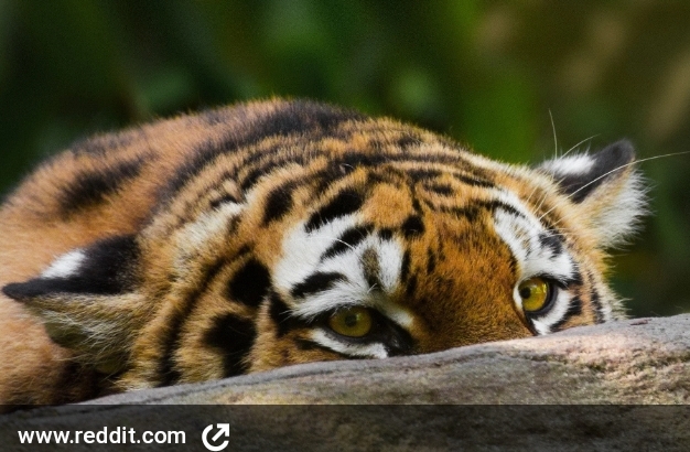 Watching Your Back&nbsp;Spiritually